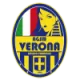 Logo AGSM Verona (w)
