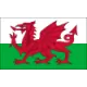 Logo Wales (w)