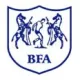 Logo Botswana  (w)