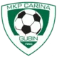 Logo Carina Gubin