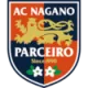 Logo AC Nagano Parceiro Ladies