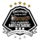 Logo TP Mazembe Englebert