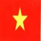 Logo Vietnam